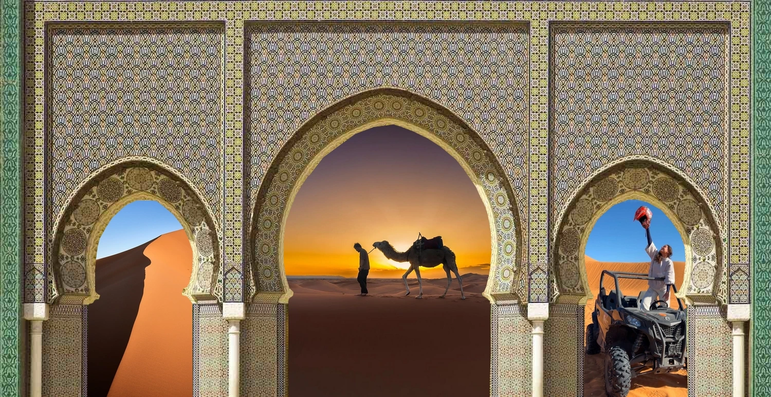 Cammellata nel deserto